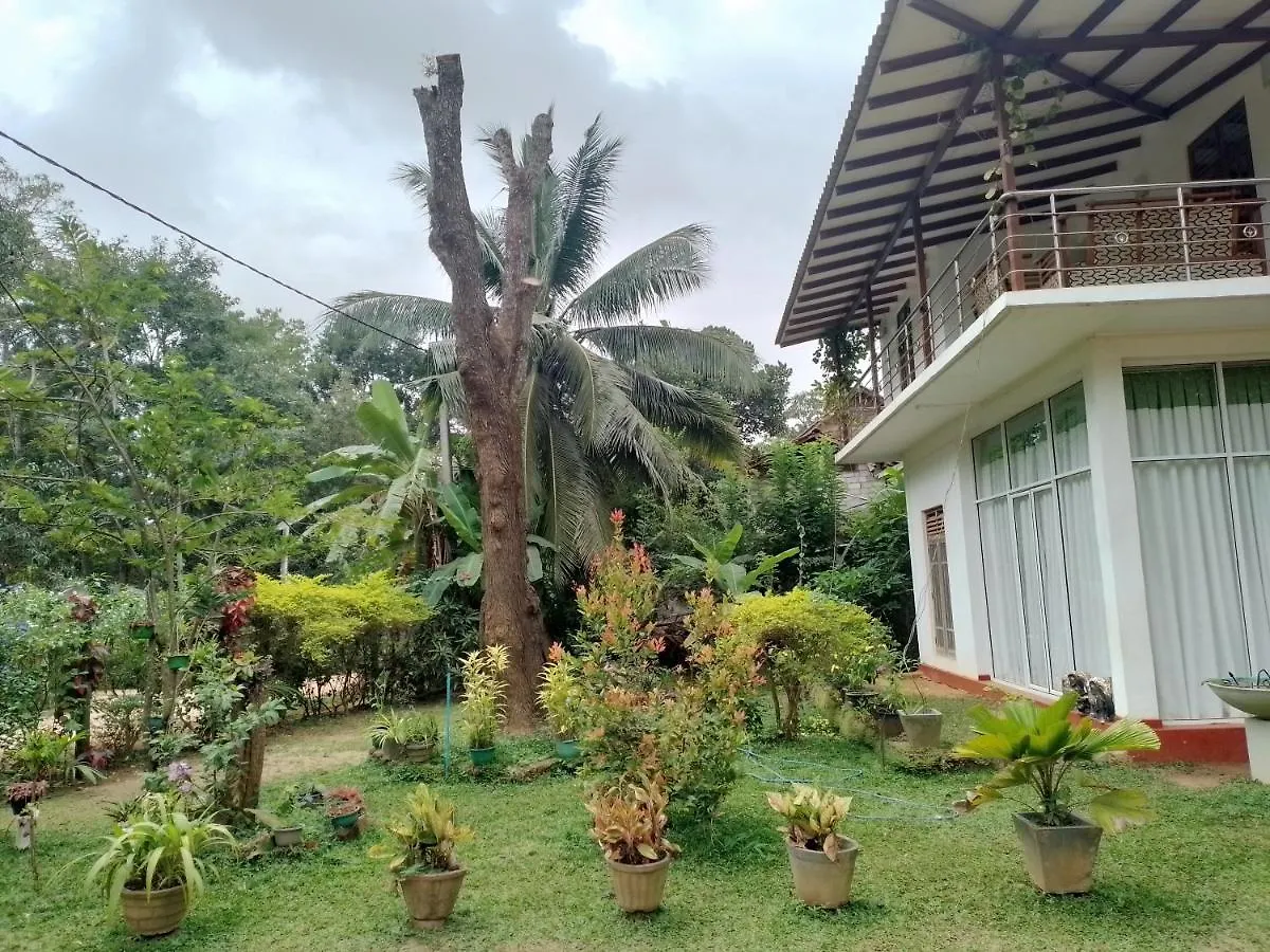 Habarana New Star Homestay