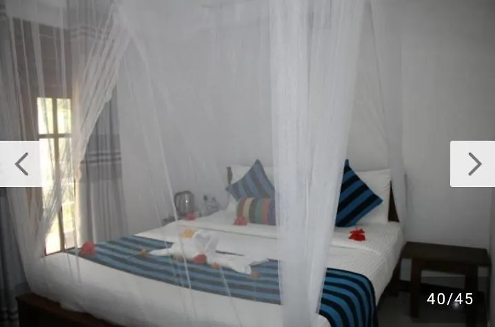 Habarana New Star Homestay